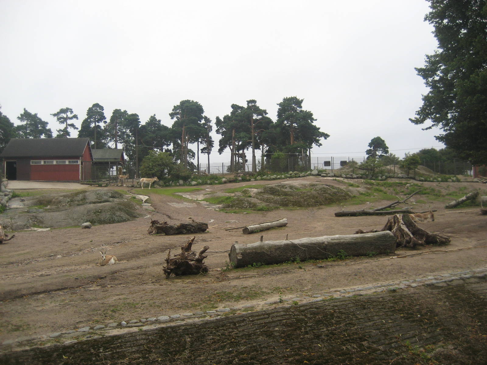 Helsinki Zoo - Onager/gazelle exhibit