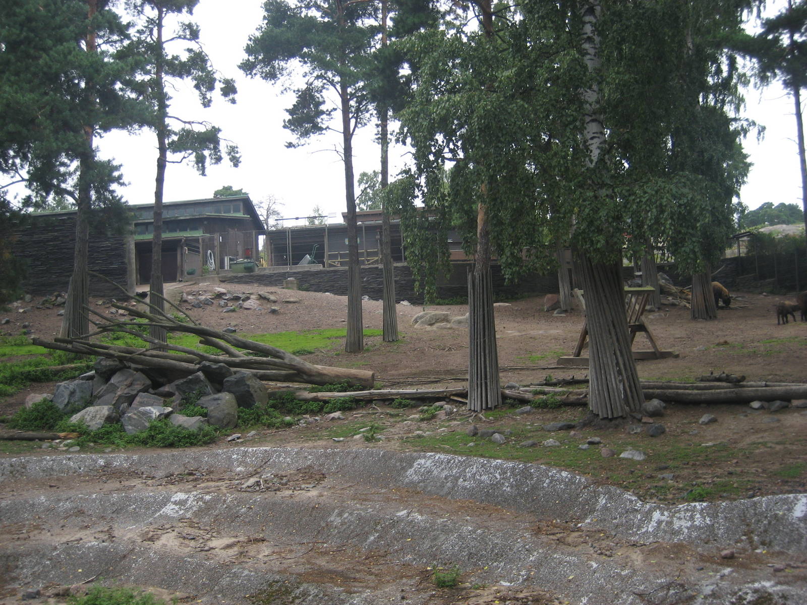 Helsinki Zoo - Takin exhibit