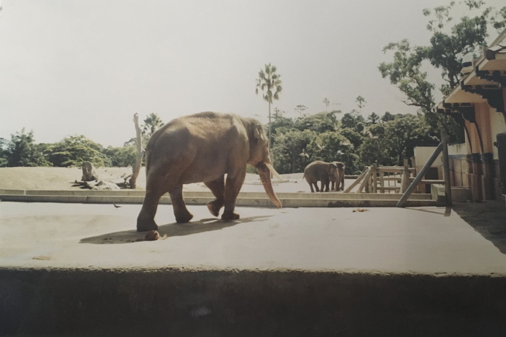 Heman, Burma and Ranee