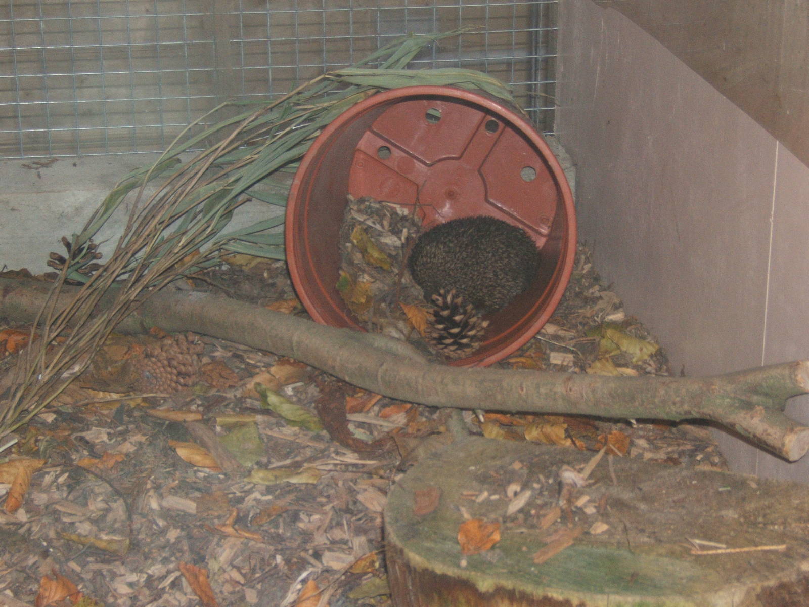 Hemsley Conservation Centre