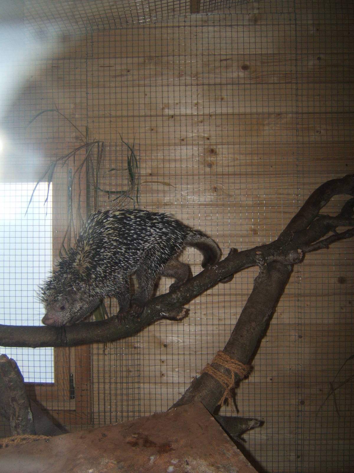 Hemsley Conservation Centre