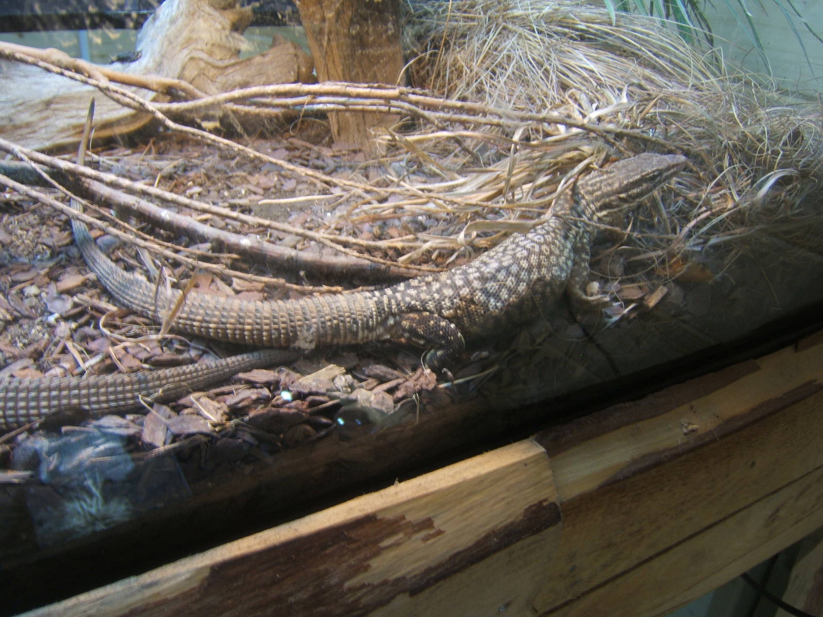 Hemsley Conservation Centre