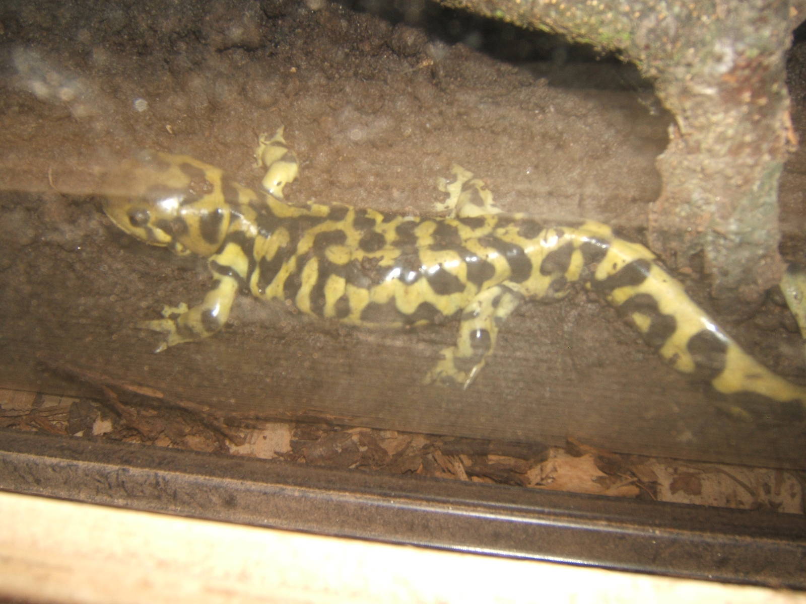 Hemsley Conservation Centre