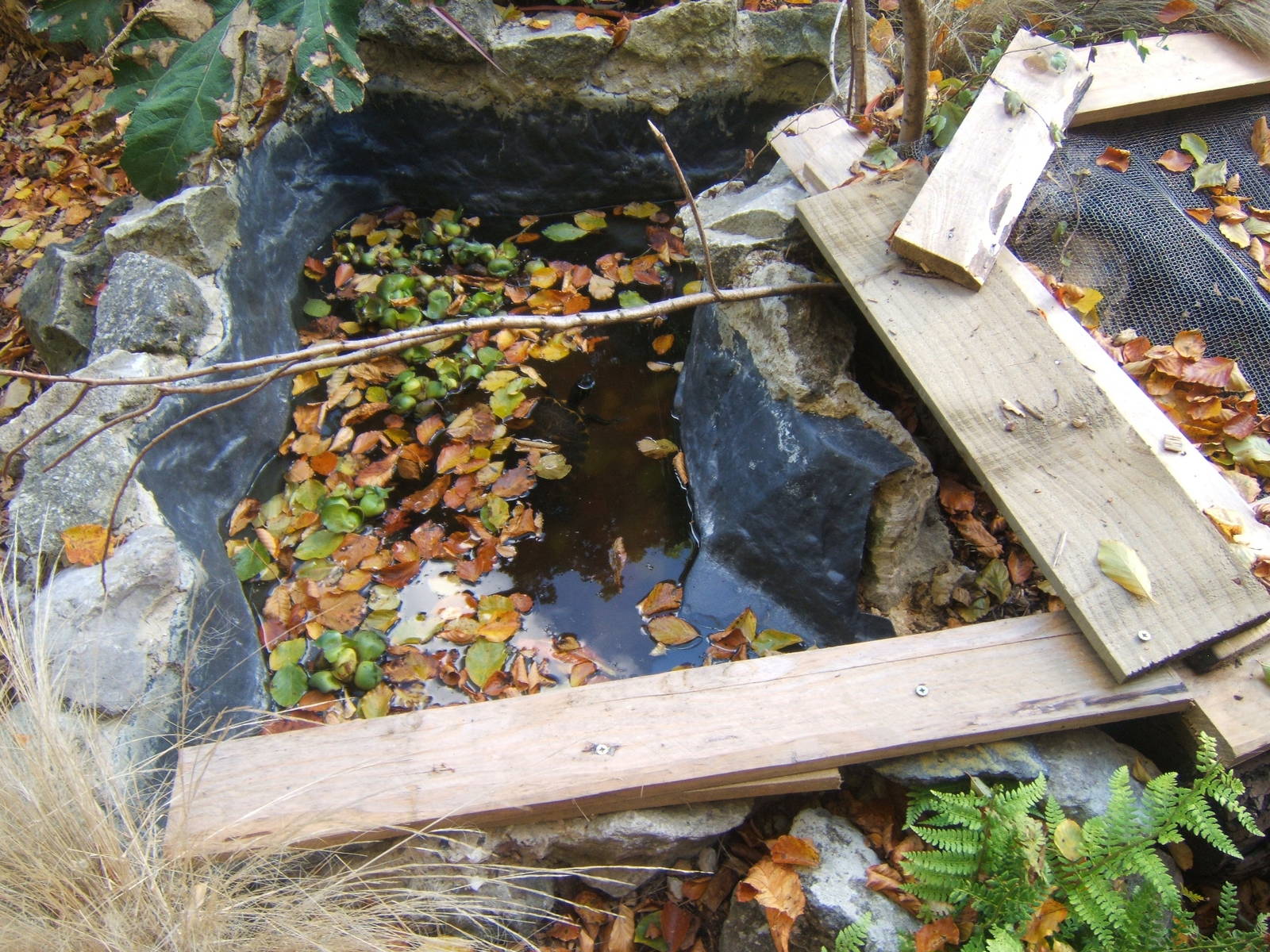 Hemsley Conservation Centre