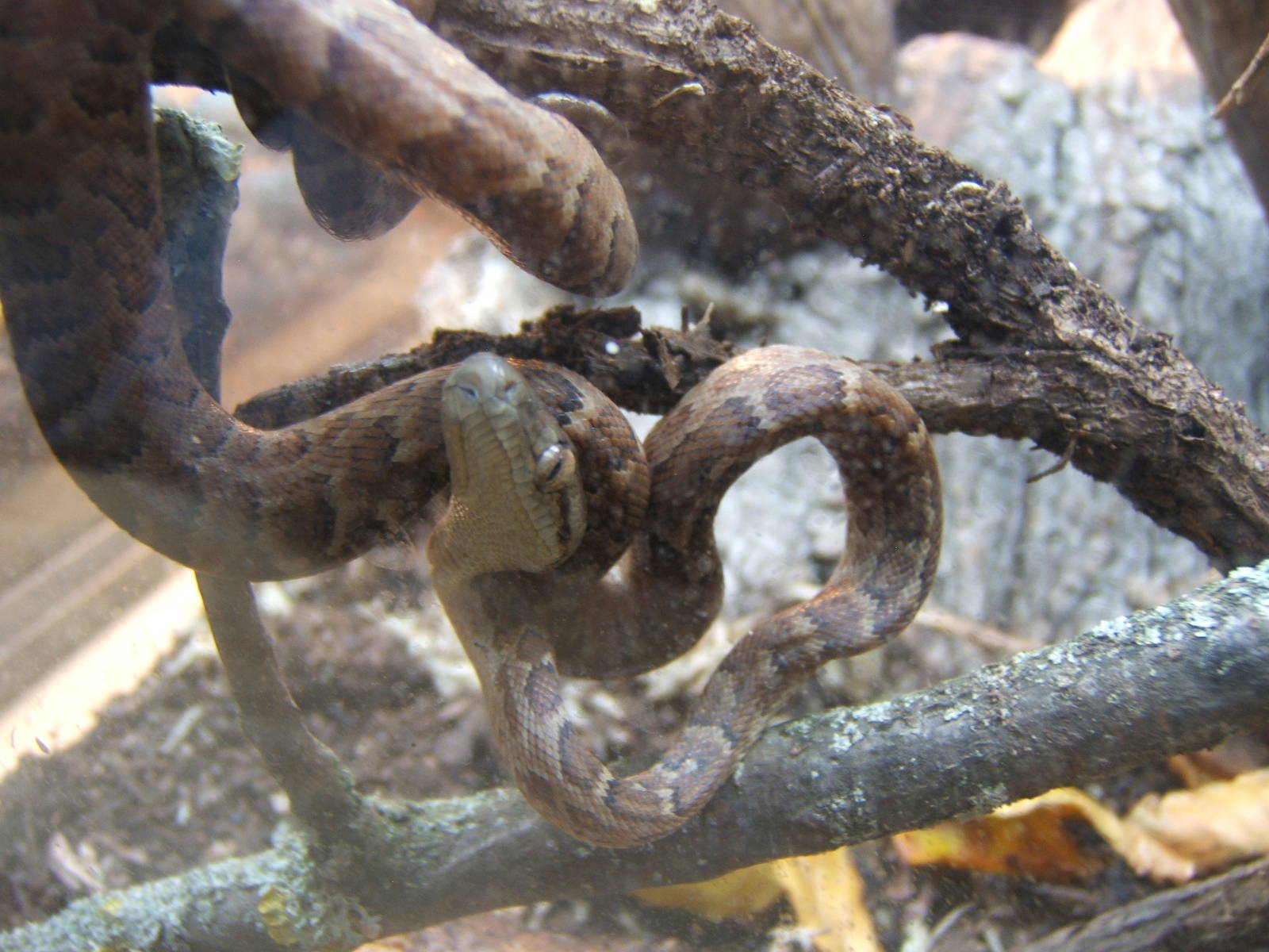 Hemsley Conservation Centre