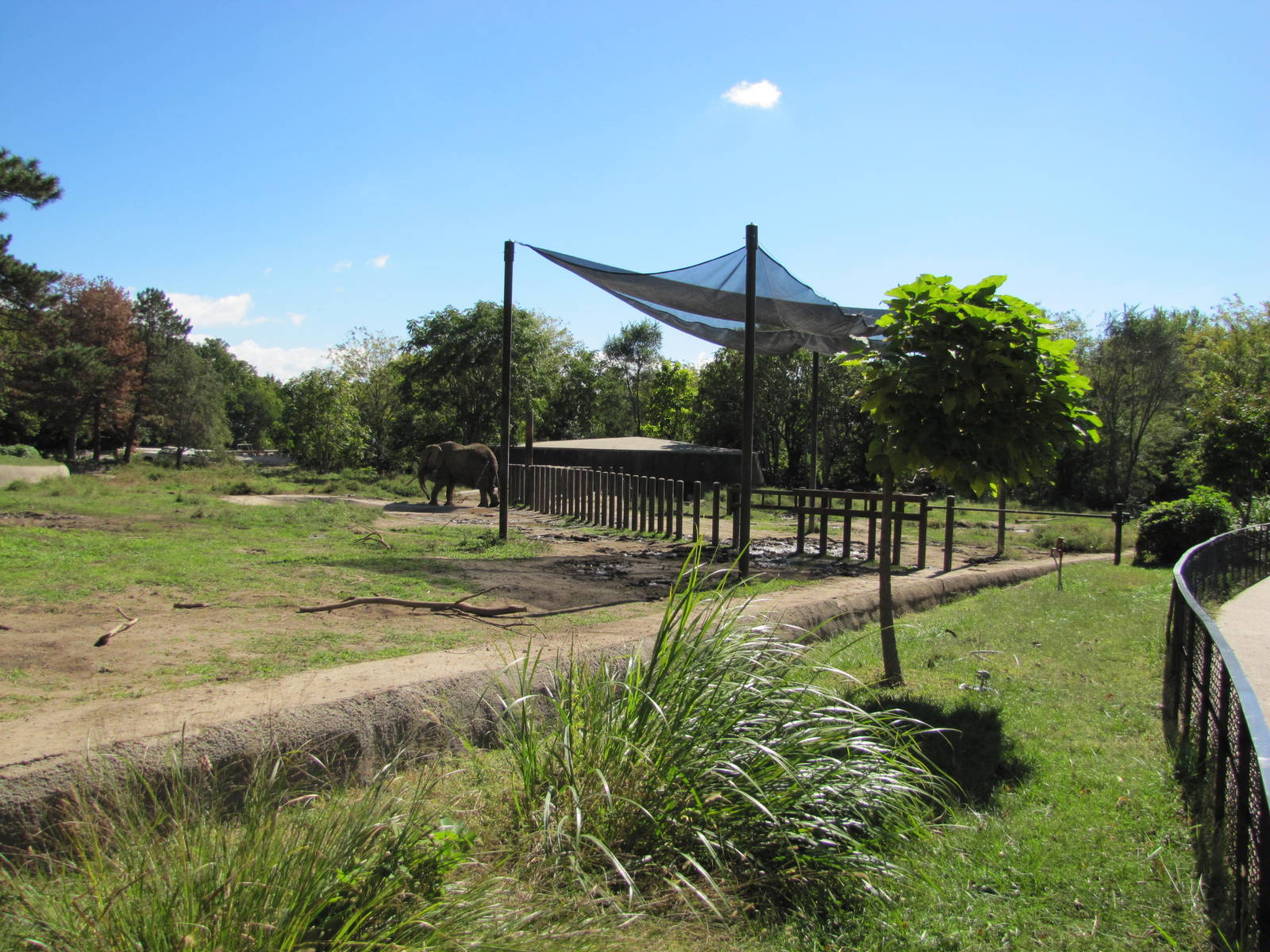 Henry Doorly Zoo 2010 - Alongside African Elephant exhibits