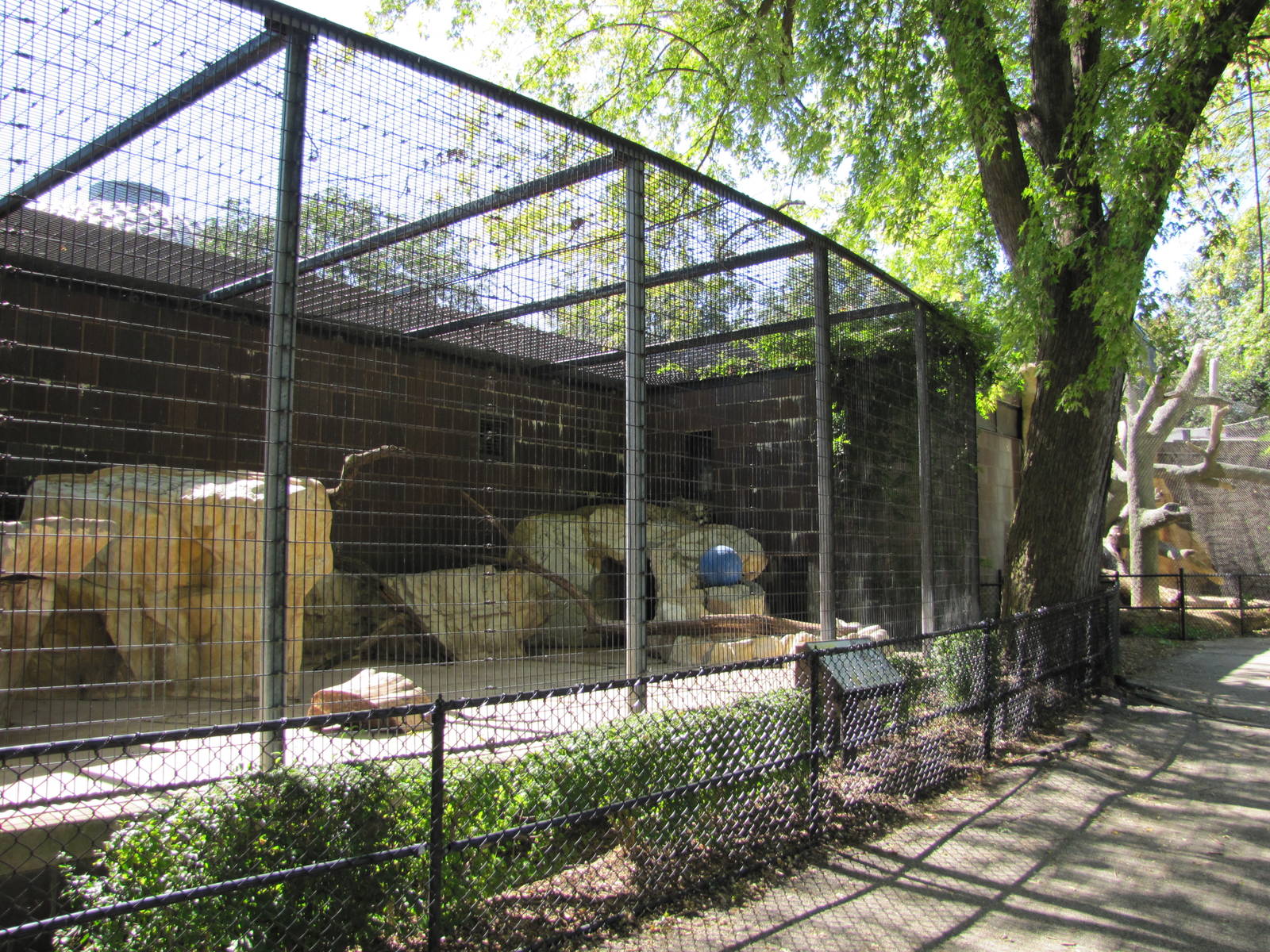 Henry Doorly Zoo 2010 - Another type of outdoor exhibits at the Cat Complex