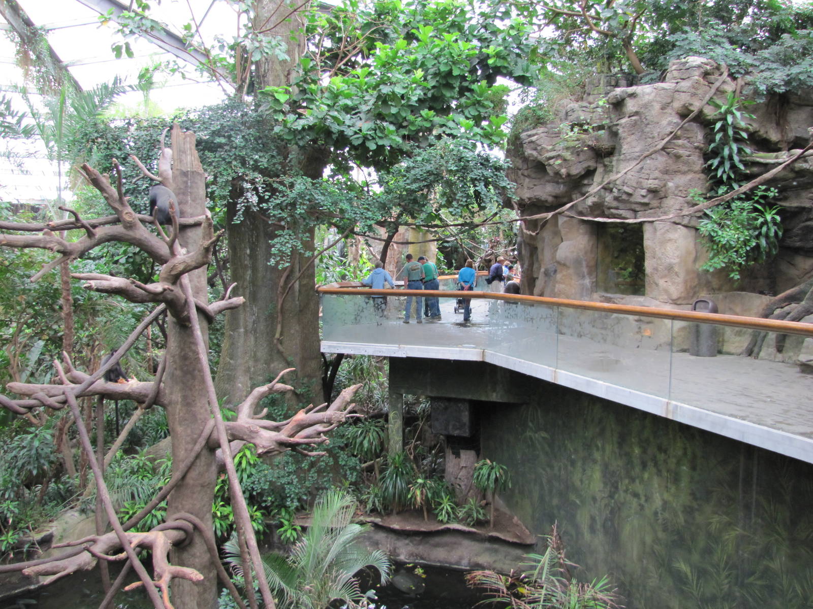 Henry Doorly Zoo 2010 - Blue Monkey exhibit and entrance to African Rain Fo