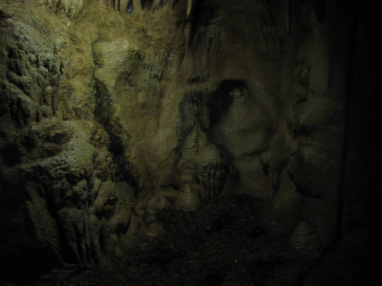 Henry Doorly Zoo 2010 - Bottom of Common Vampire Bat exhibit in Lied Jungle