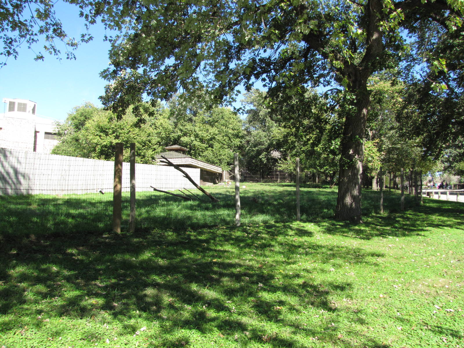 Henry Doorly Zoo 2010 - Dama Gazelle enclosure