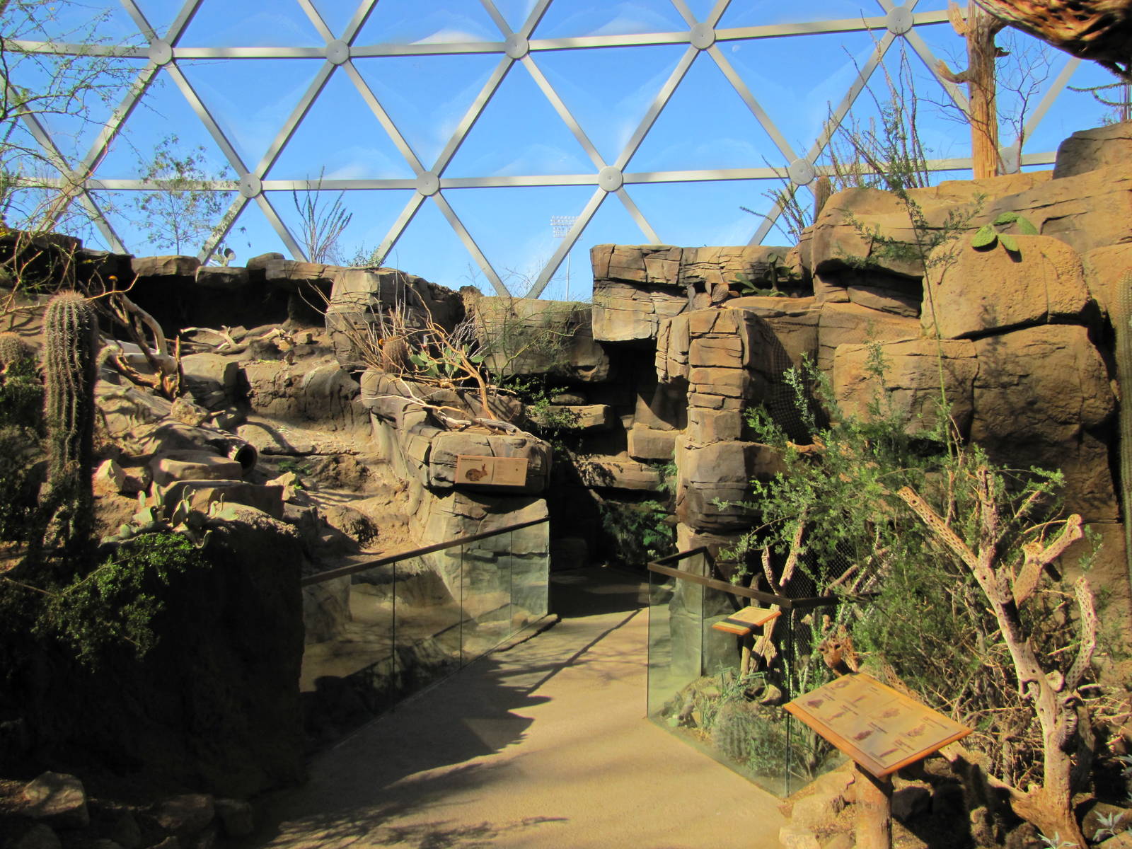 Henry Doorly Zoo 2010 - Desert Cottontail and Swift Fox exhibits in Desert