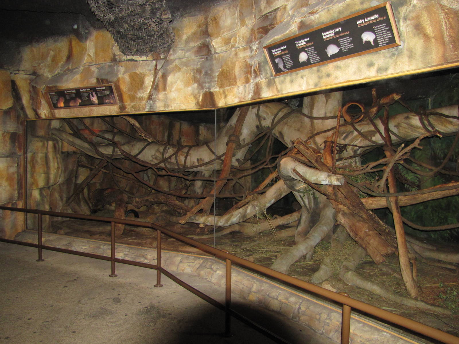 Henry Doorly Zoo 2010 - Different mixed exhibit for small mammals in Kingdo