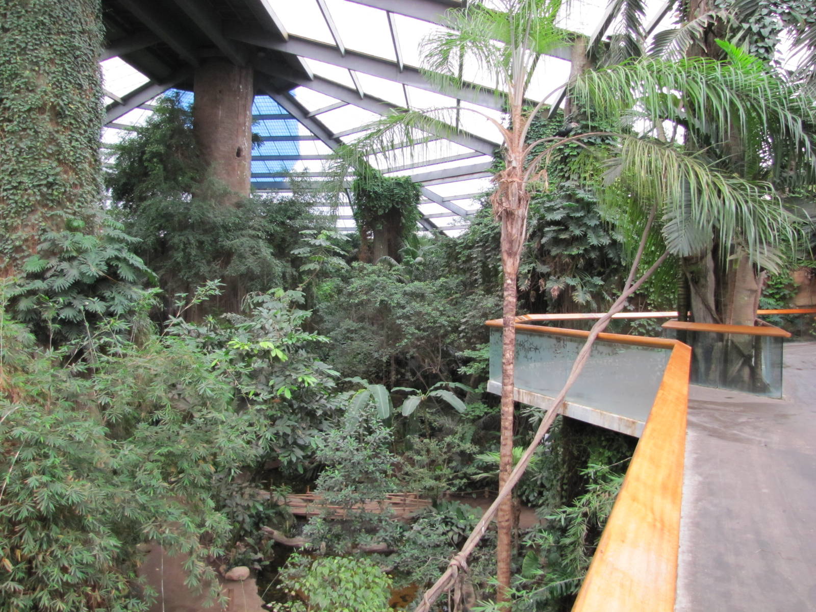 Henry Doorly Zoo 2010 - Entrance to South American Rainforest in Lied Jungl