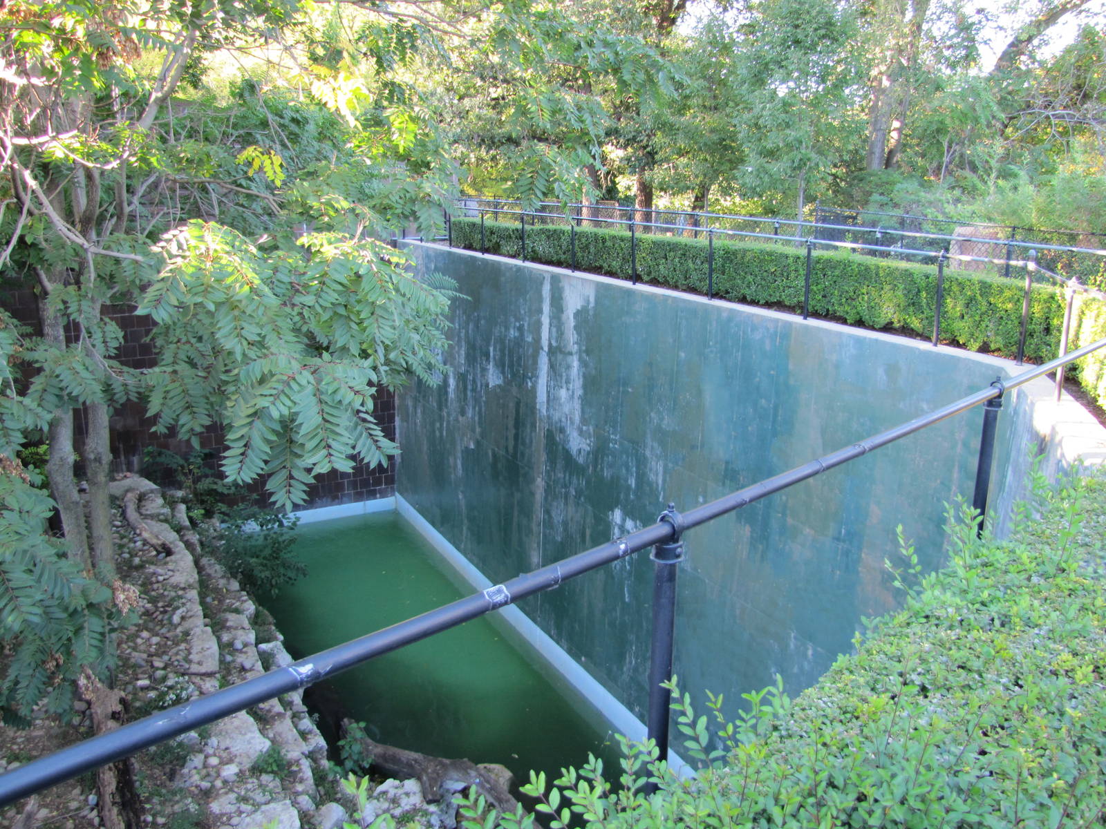 Henry Doorly Zoo 2010 - First part of Amur Tiger outdoor exhibit at the Cat