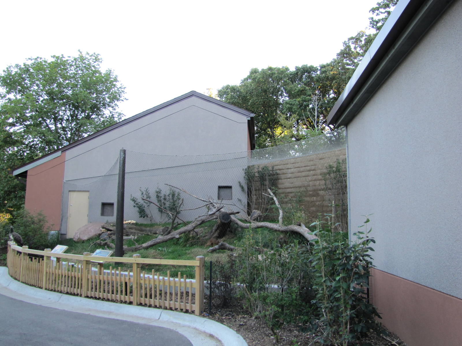 Henry Doorly Zoo 2010 - Fossa exhibit at Expedition Madagascar
