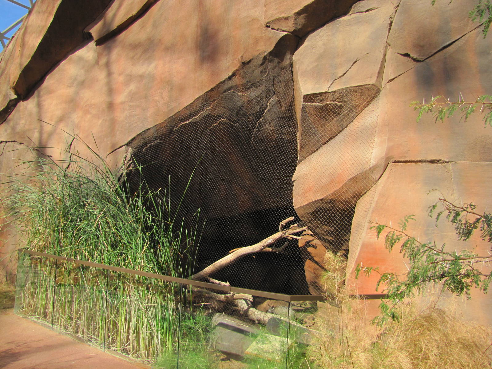 Henry Doorly Zoo 2010 - Front of Bat-eared Fox exhibit in Desert Dome