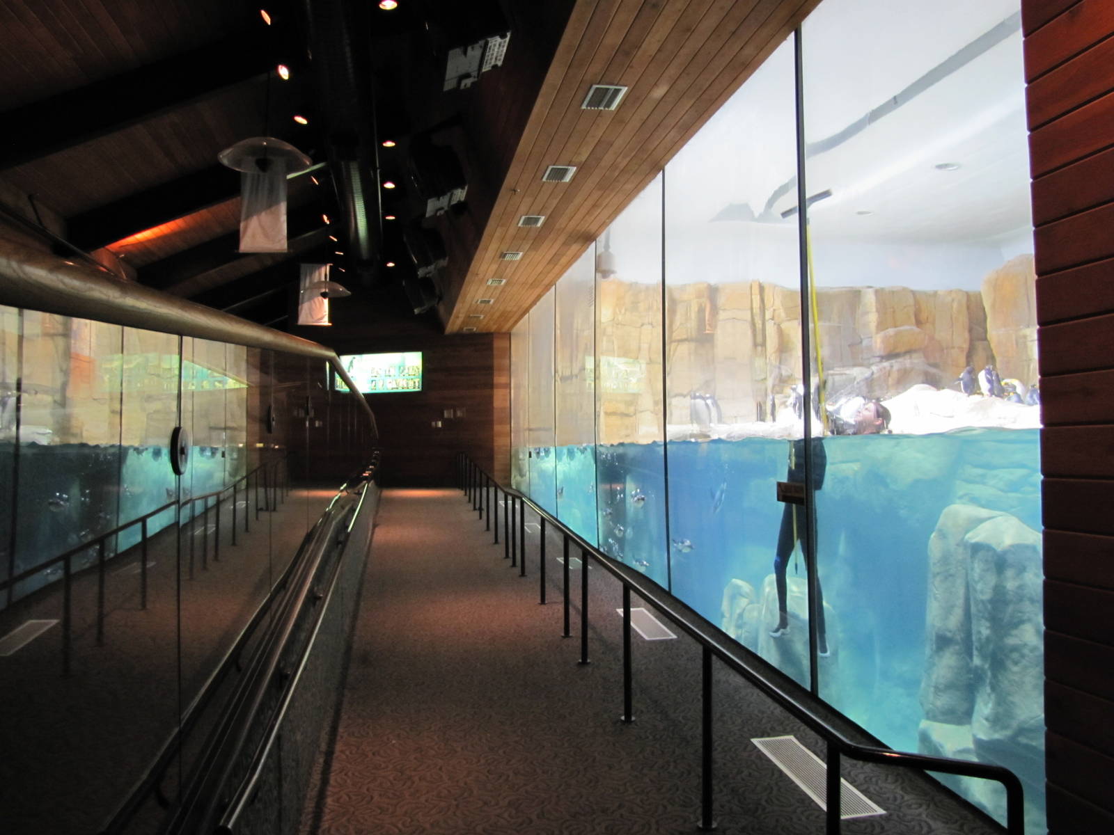 Henry Doorly Zoo 2010 - Front of Penguin exhibit in Kingdoms of the Seas Aq