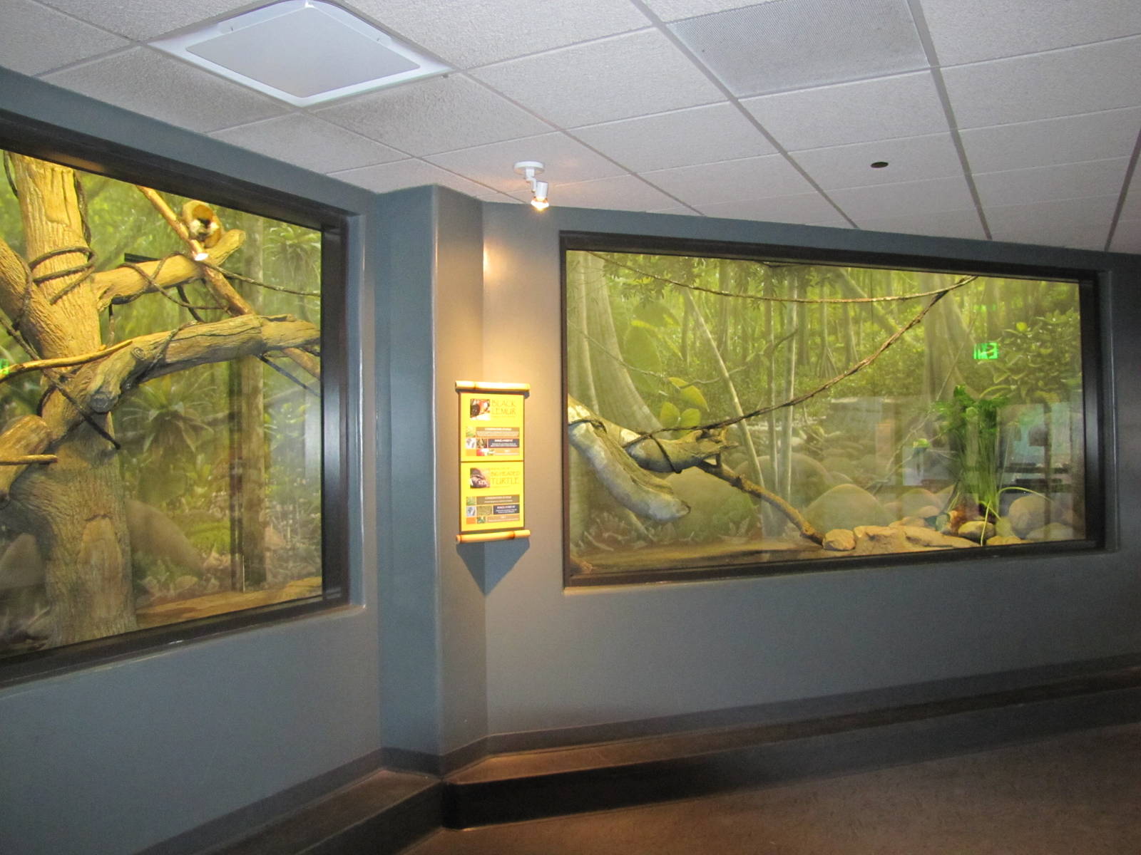Henry Doorly Zoo 2010 - General view in Expedition Madagascar