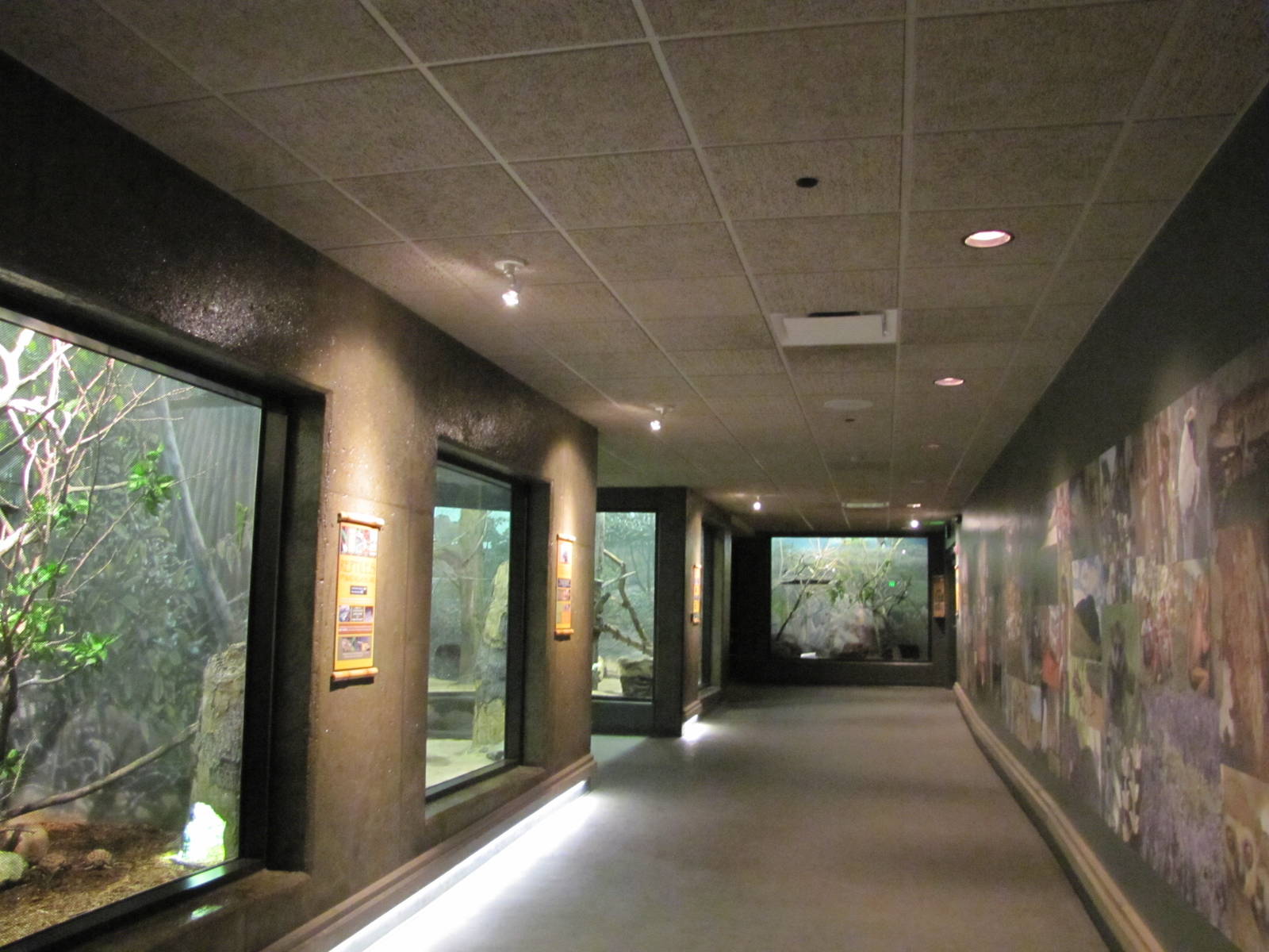 Henry Doorly Zoo 2010 - General view in Expedition Madagascar