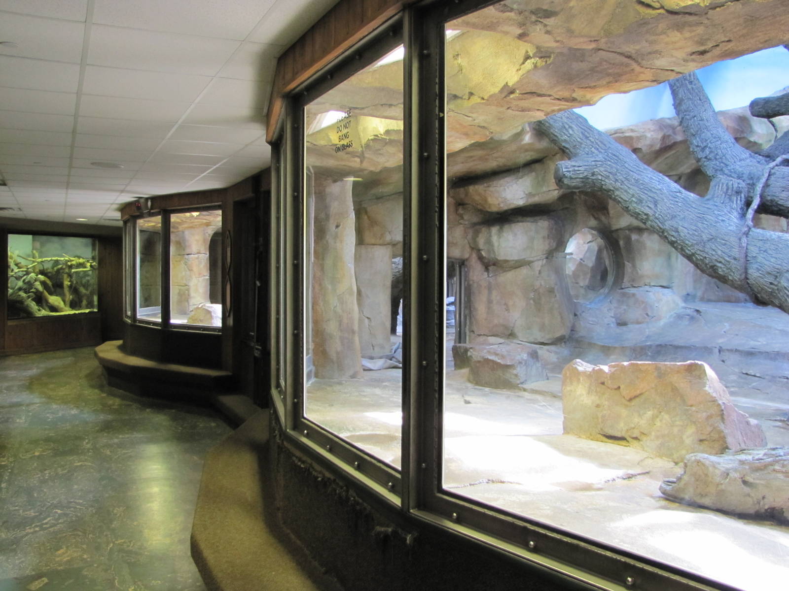 Henry Doorly Zoo 2010 - General view in Hubbard Gorilla Valley