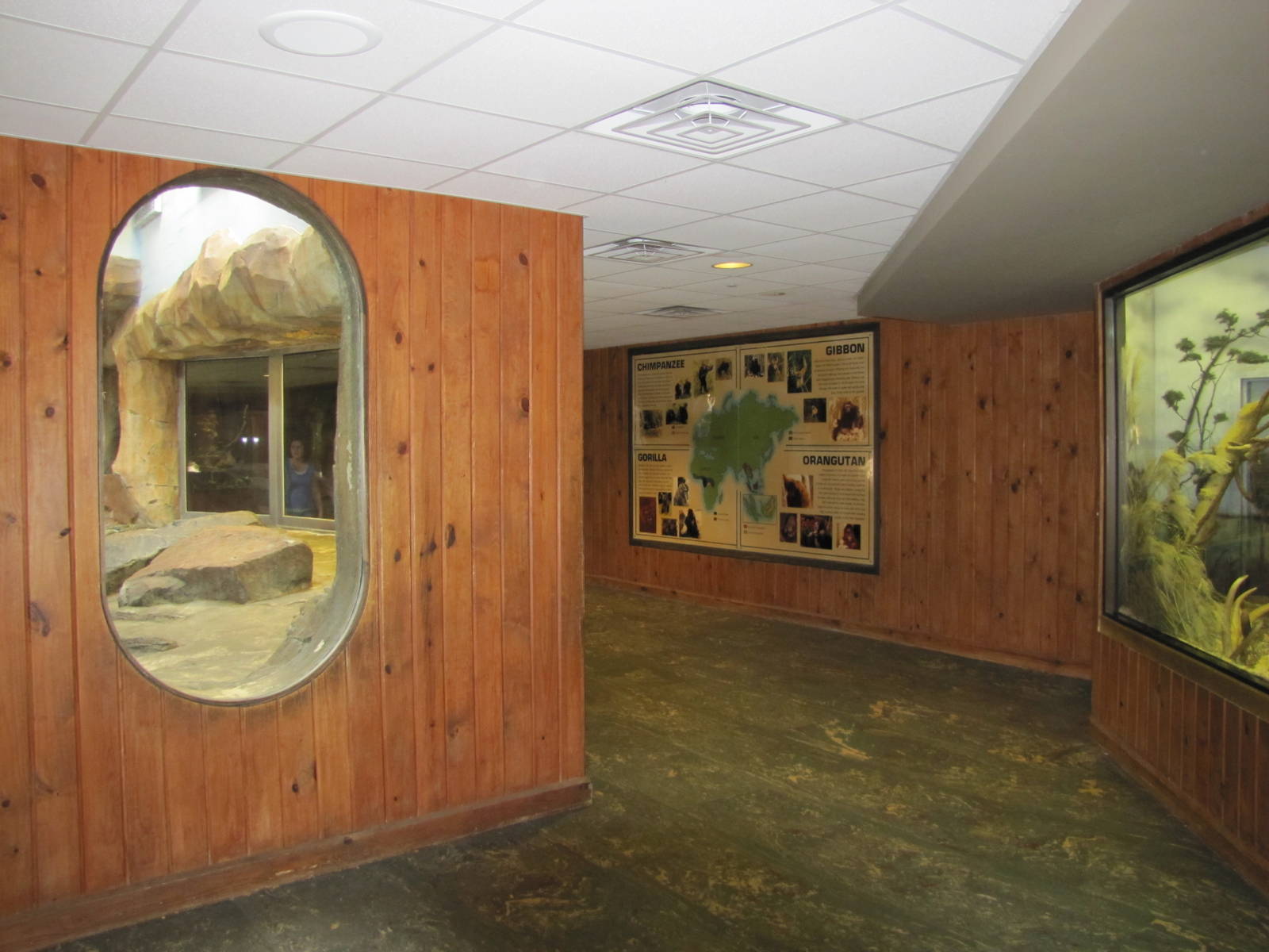 Henry Doorly Zoo 2010 - General view in Hubbard Gorilla Valley