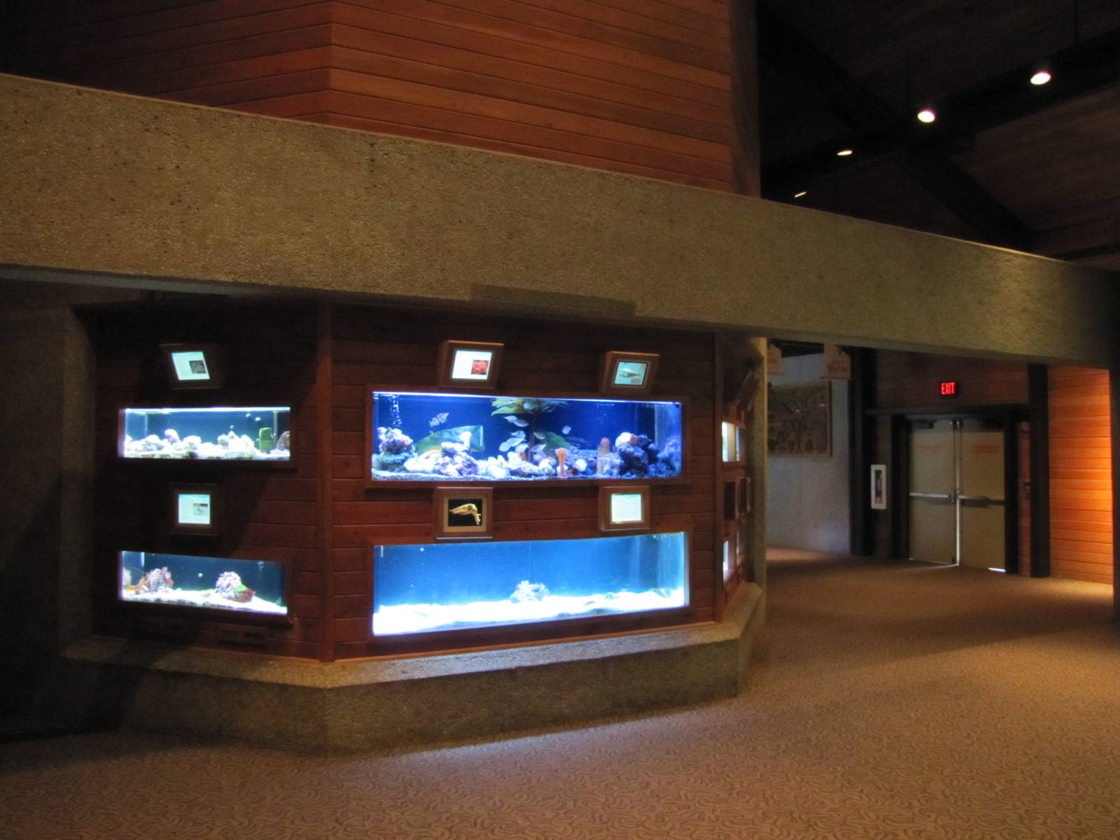 Henry Doorly Zoo 2010 - General view in Kingdoms of the Seas Aquarium