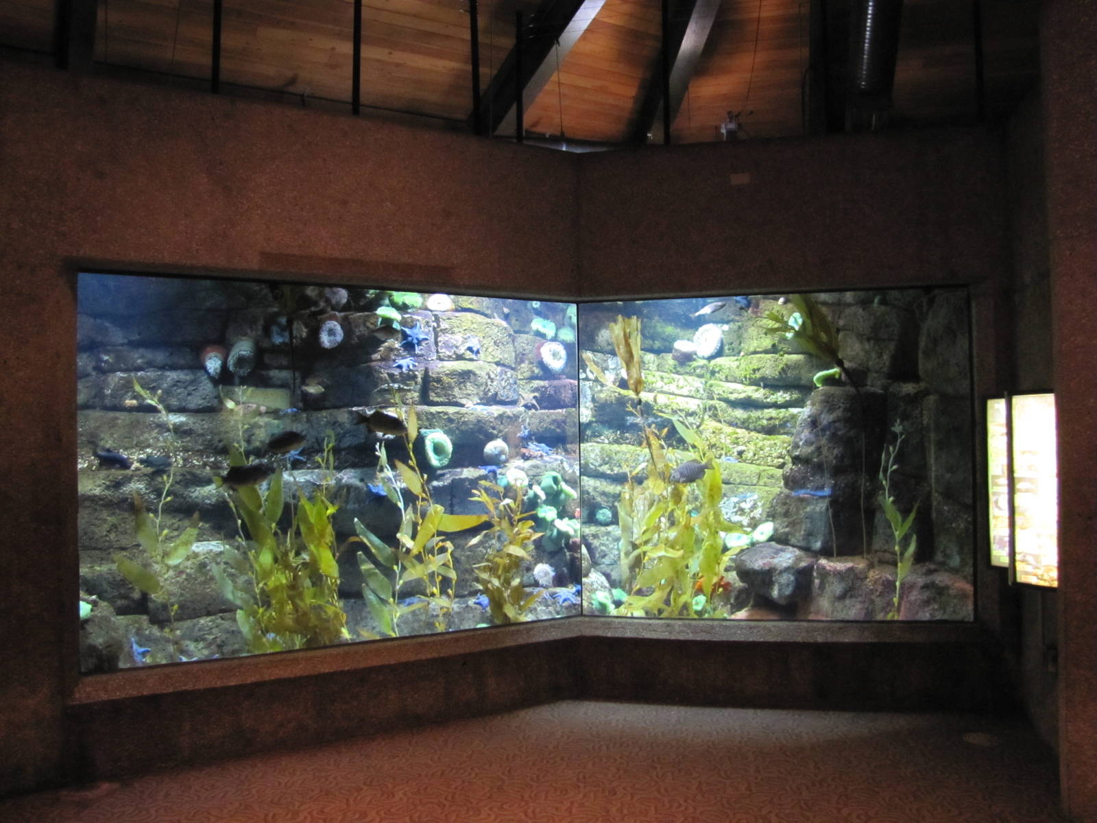 Henry Doorly Zoo 2010 - General view in Kingdoms of the Seas Aquarium