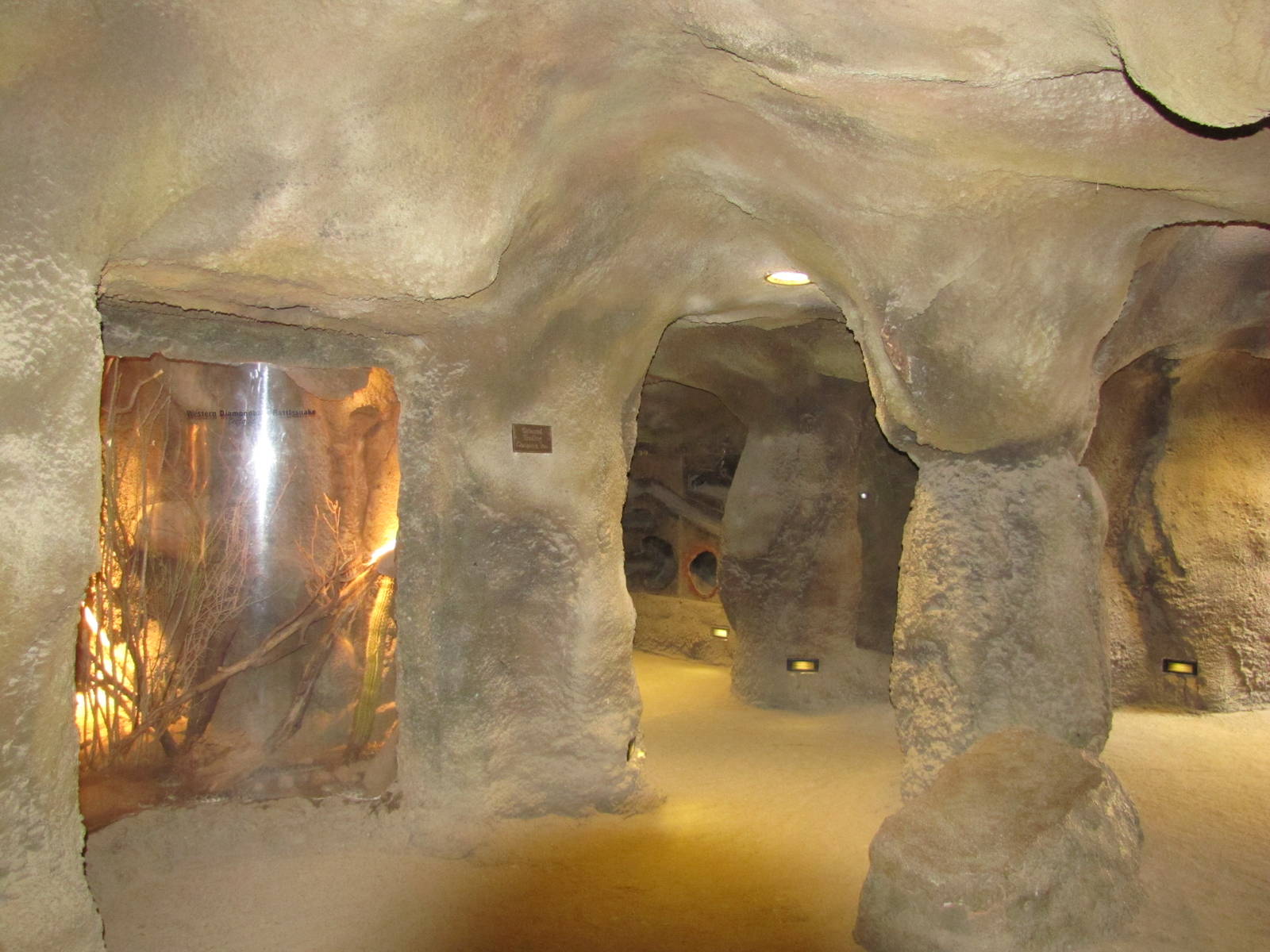 Henry Doorly Zoo 2010 - General view in the reptile wing in Desert Dome