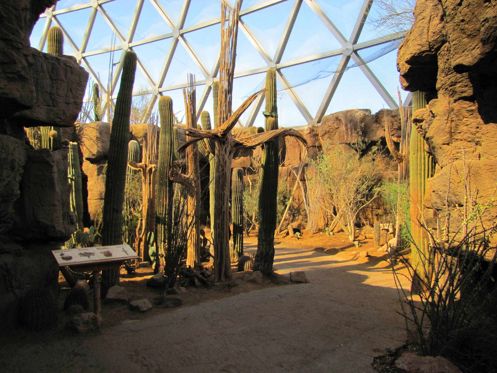 Henry Doorly Zoo 2010 - General view in the Sonora Desert section in Desert