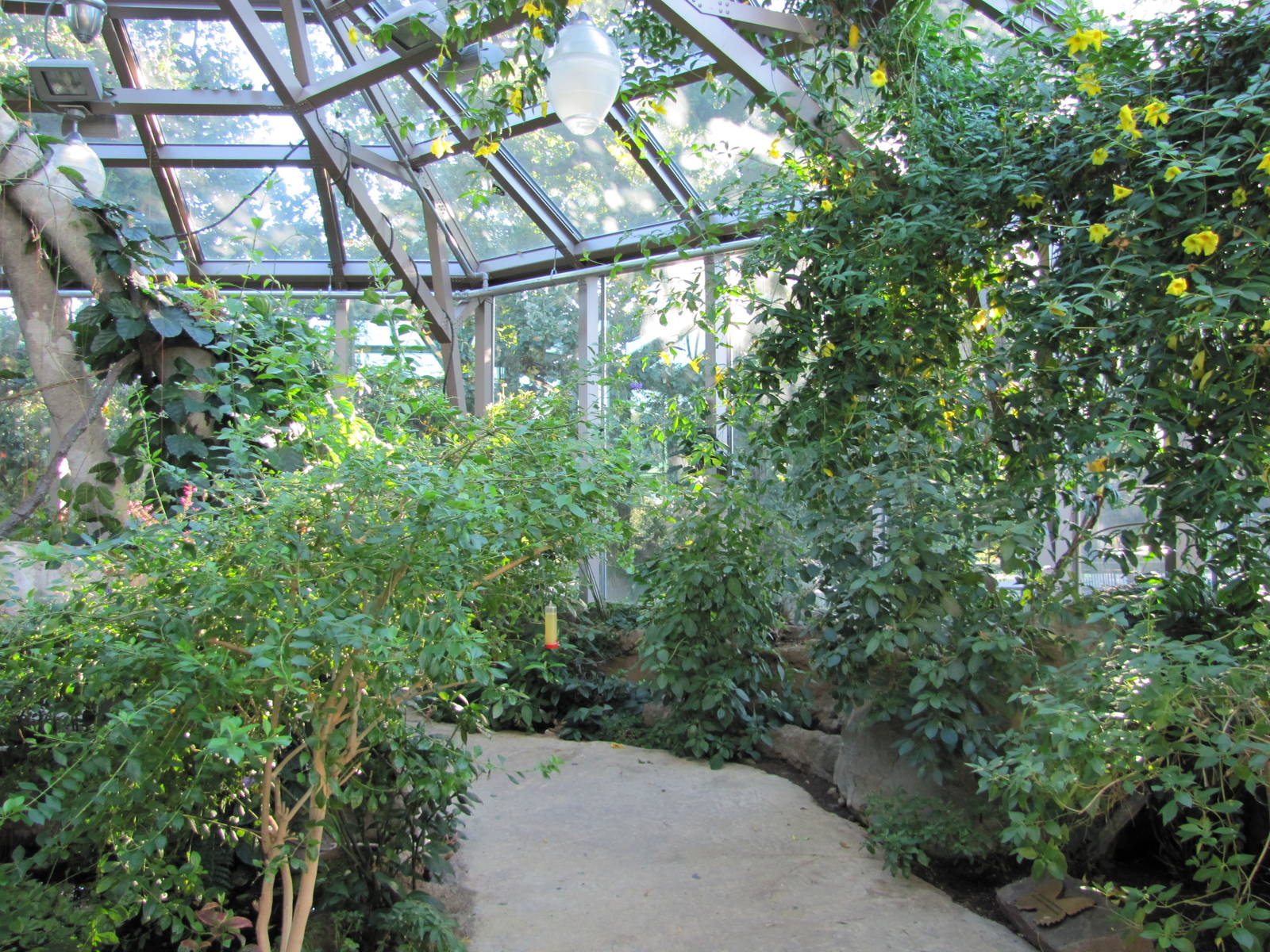 Henry Doorly Zoo 2010 - General view inside Butterfly and Insect Pavilion