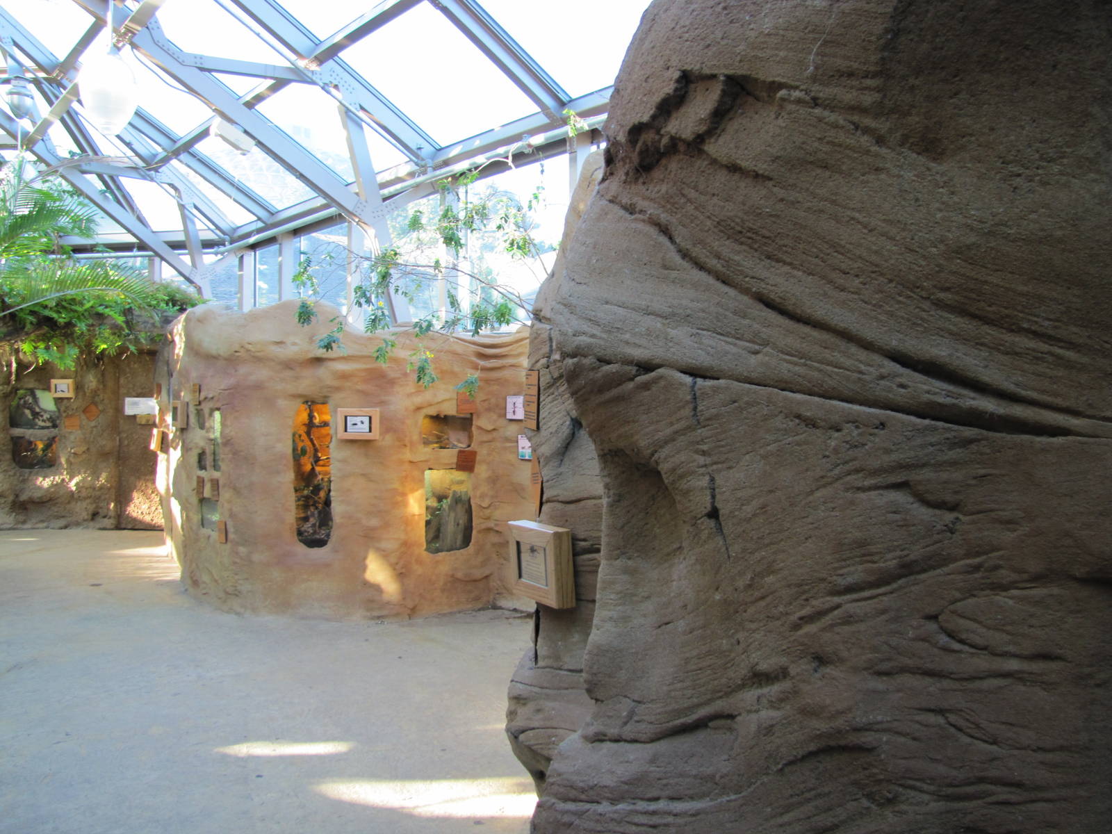 Henry Doorly Zoo 2010 - General view inside Butterfly and Insect Pavilion