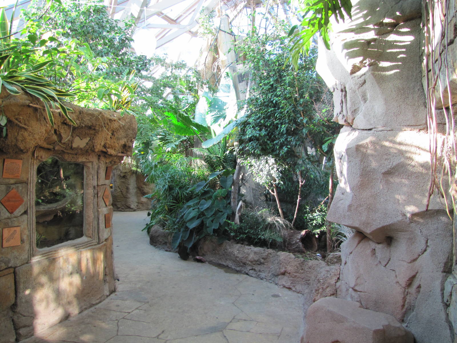 Henry Doorly Zoo 2010 - General view inside Butterfly and Insect Pavilion