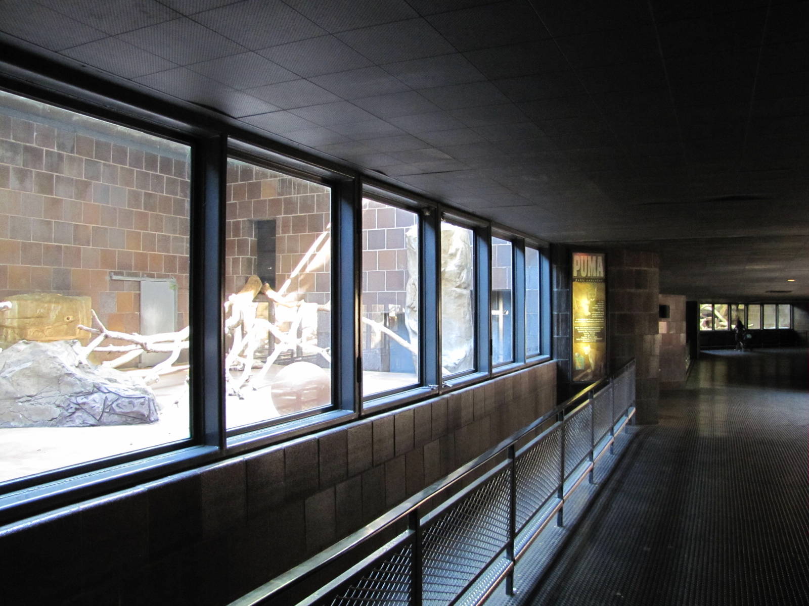 Henry Doorly Zoo 2010 - General view inside the Cat Complex