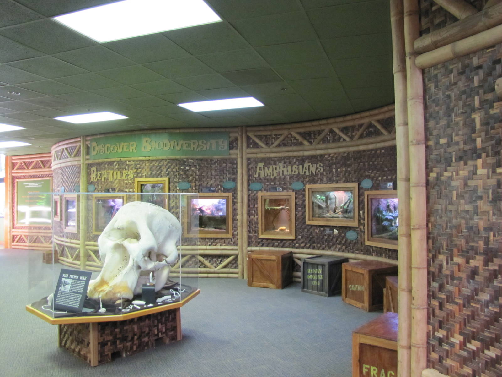 Henry Doorly Zoo 2010 - General view inside Wild Kingdom Pavilion