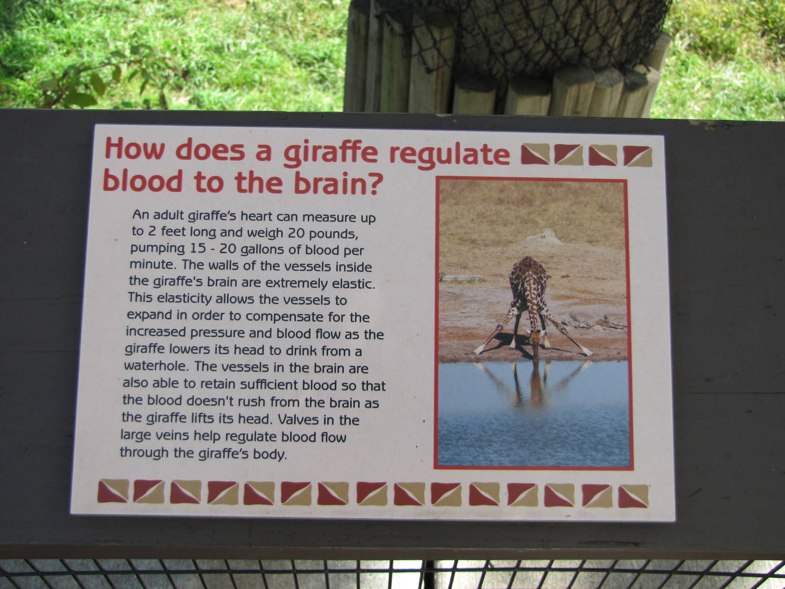 Henry Doorly Zoo 2010 - Giraffe exhibit sign