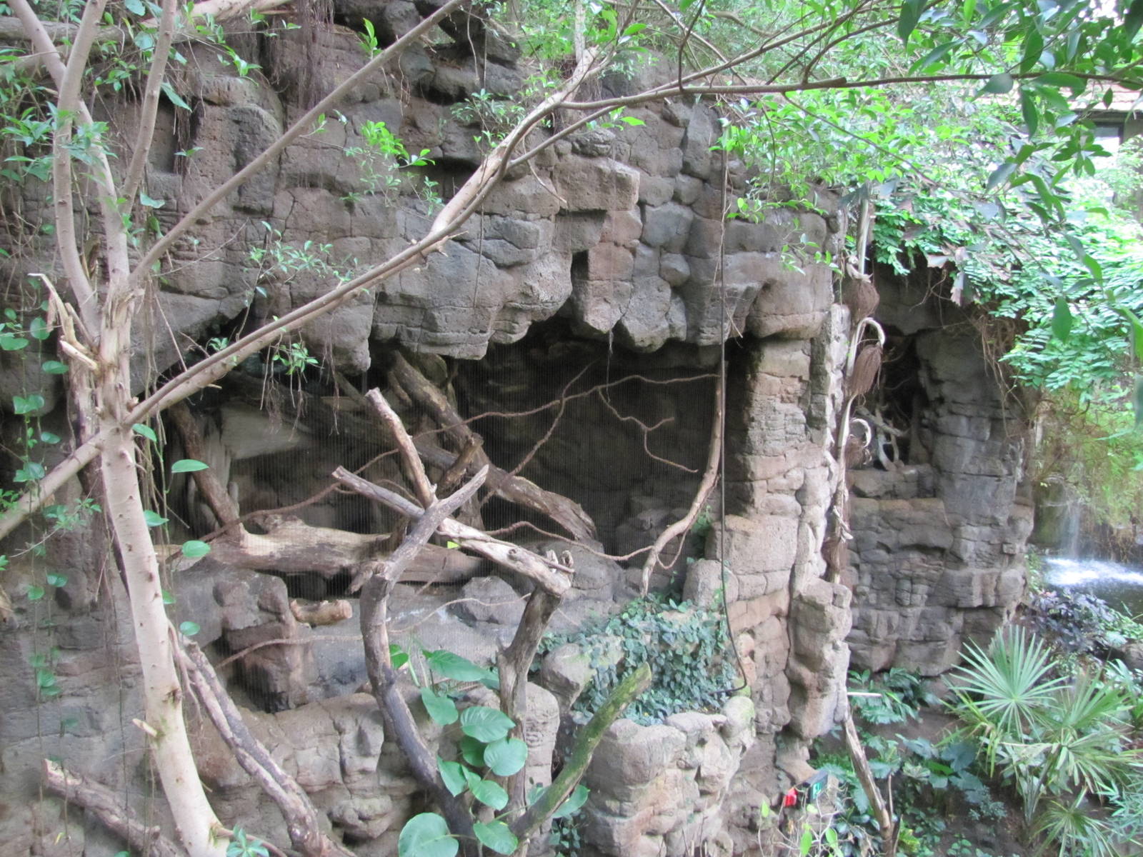 Henry Doorly Zoo 2010 - Indian Crested Porcupine and Clouded Leopard exhibi