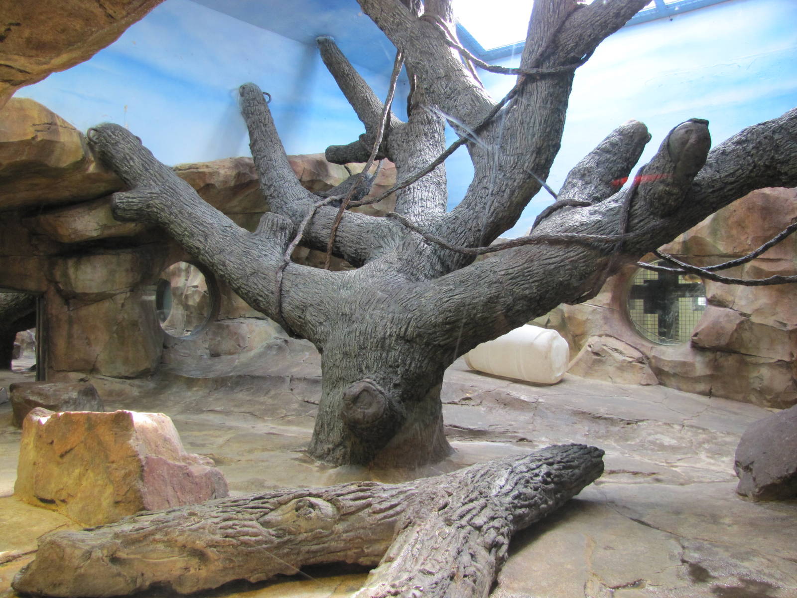 Henry Doorly Zoo 2010 - Indoor exhibit in Hubbard Gorilla Valley