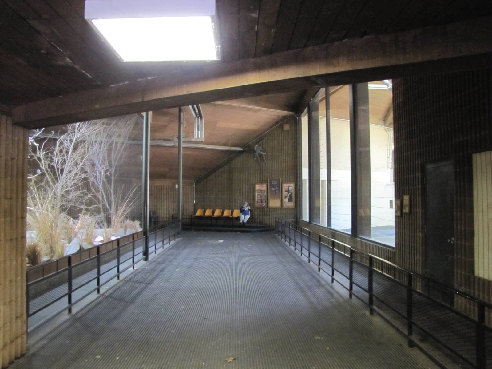 Henry Doorly Zoo 2010 - Inside Giraffe Complex