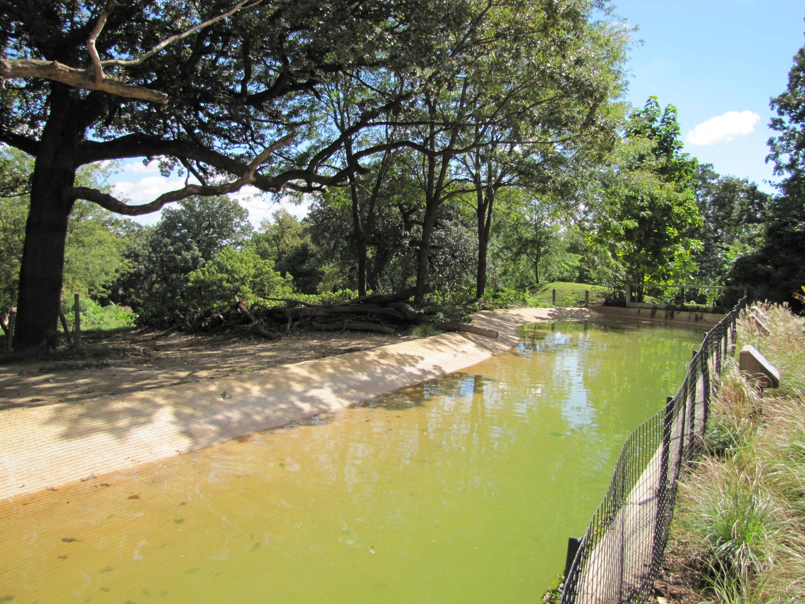 Henry Doorly Zoo 2010 - Jackass Penguin pool