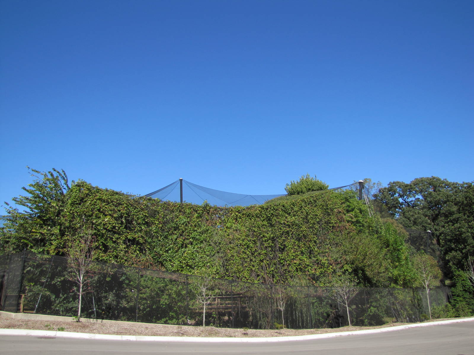 Henry Doorly Zoo 2010 - Lee G. Simmons Aviary