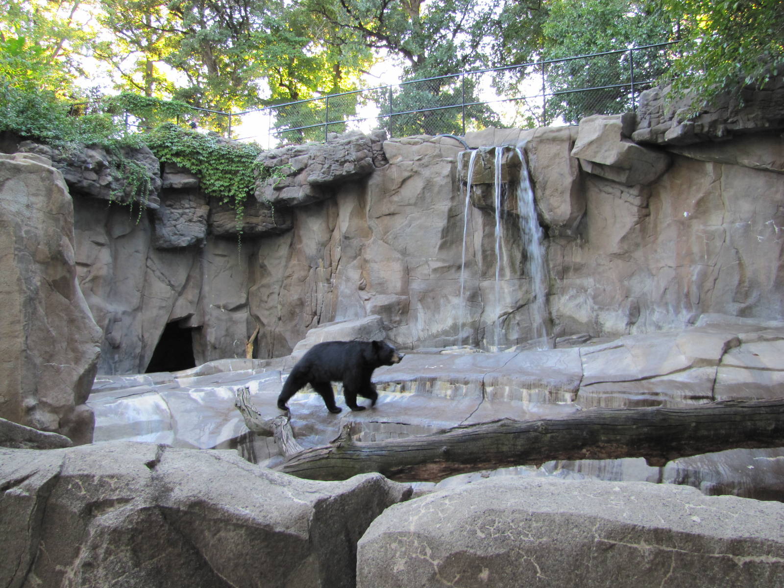 Henry Doorly Zoo 2010 - Left part of American Black Bear exhibit in Bear Ca