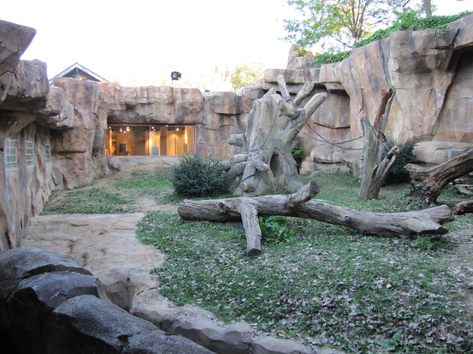 Henry Doorly Zoo 2010 - Left part of Silverback outdoor exhibit in Hubbard