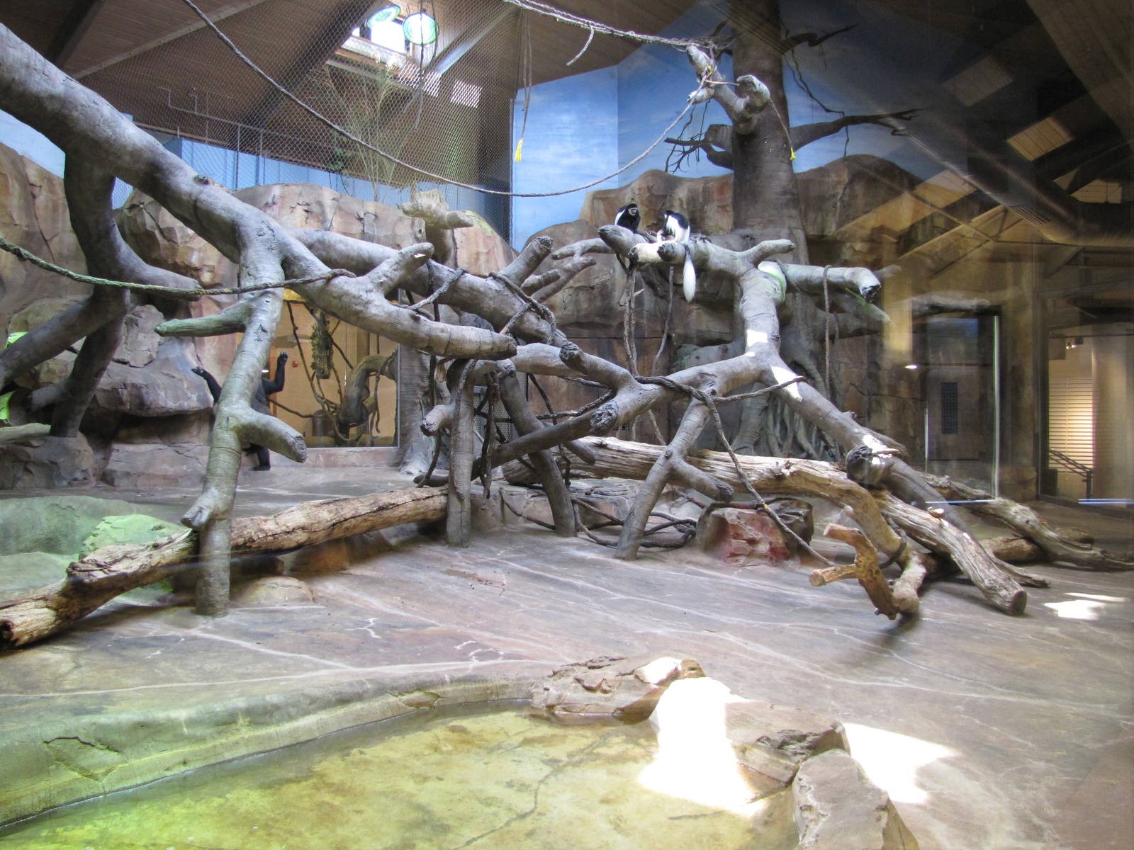 Henry Doorly Zoo 2010 - Main indoor exhibit in Hubbard Gorilla Valley