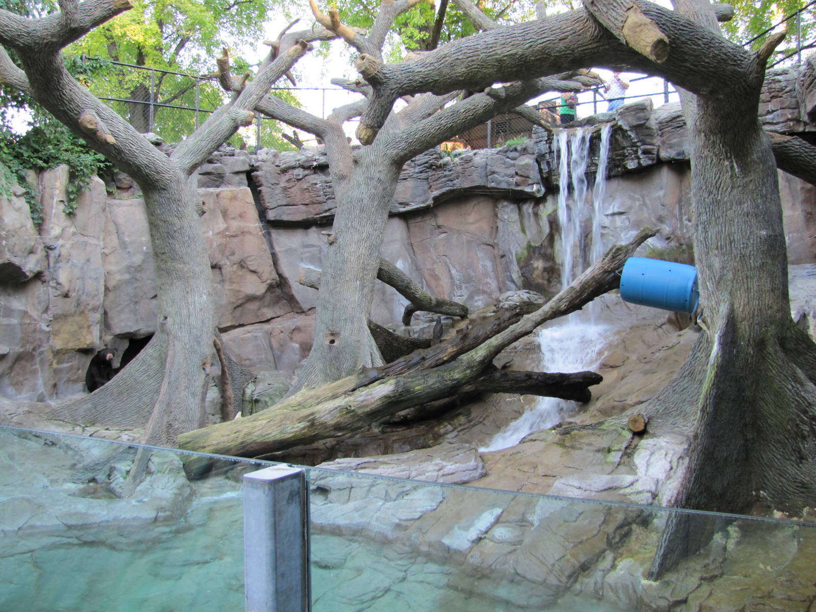 Henry Doorly Zoo 2010 - Malayan Sun Bear exhibit in Bear Canyon