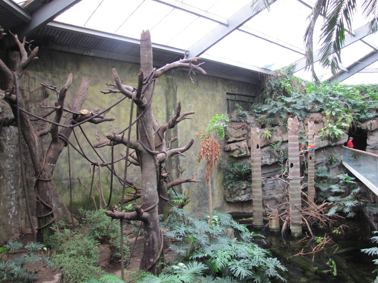 Henry Doorly Zoo 2010 - Mixed South American Rainforest exhibit in Lied Jun