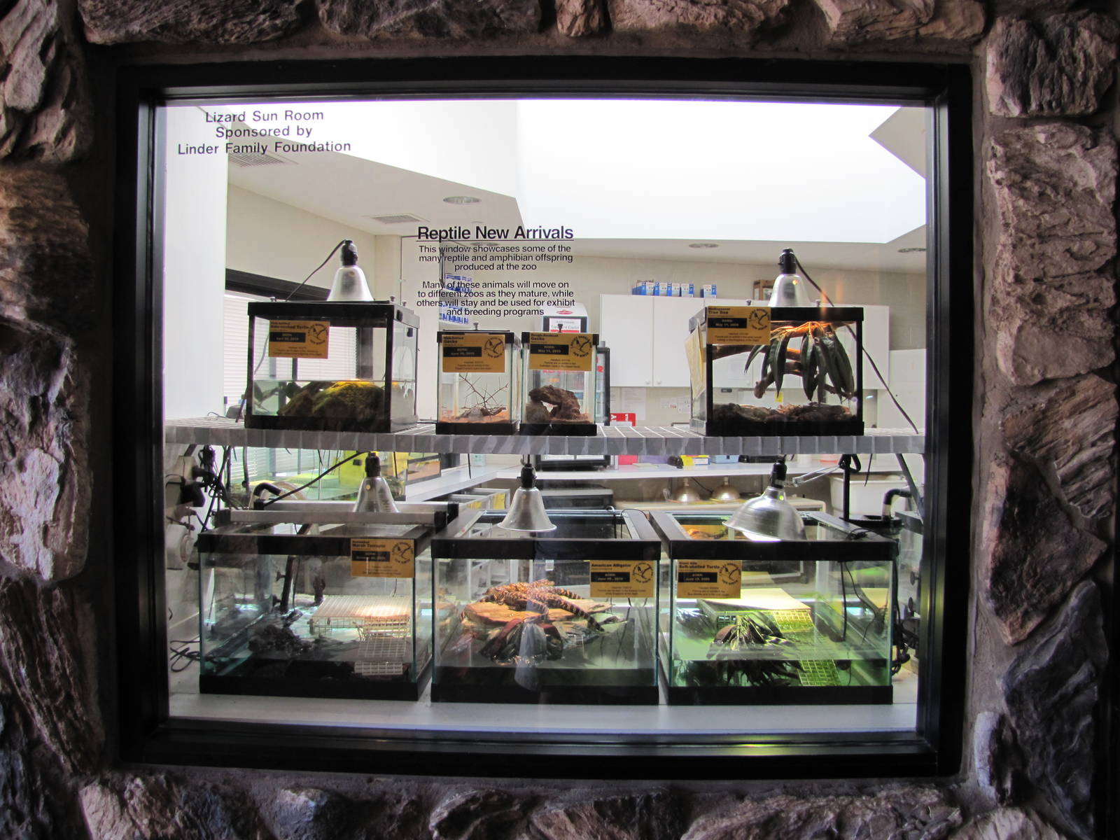 Henry Doorly Zoo 2010 - Nursing room at Kingdoms of the Night