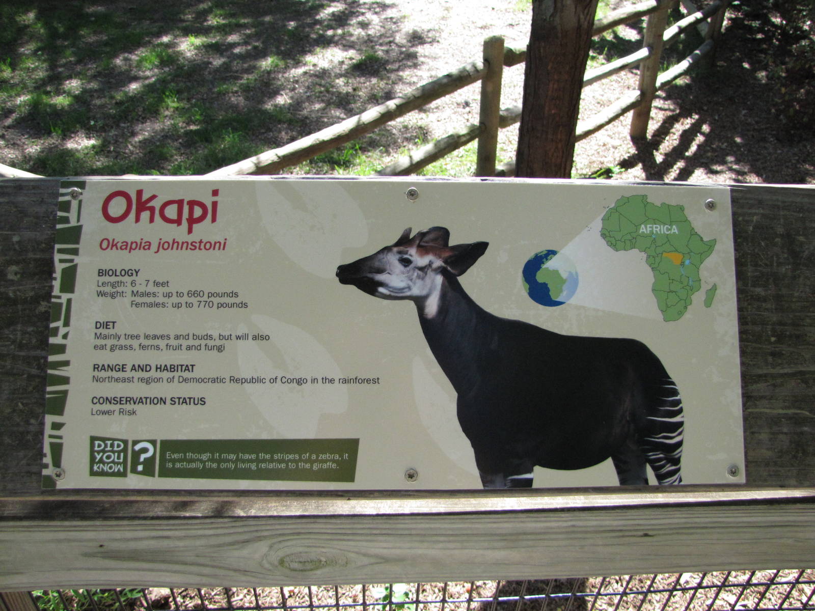 Henry Doorly Zoo 2010 - Okapi exhibit signage