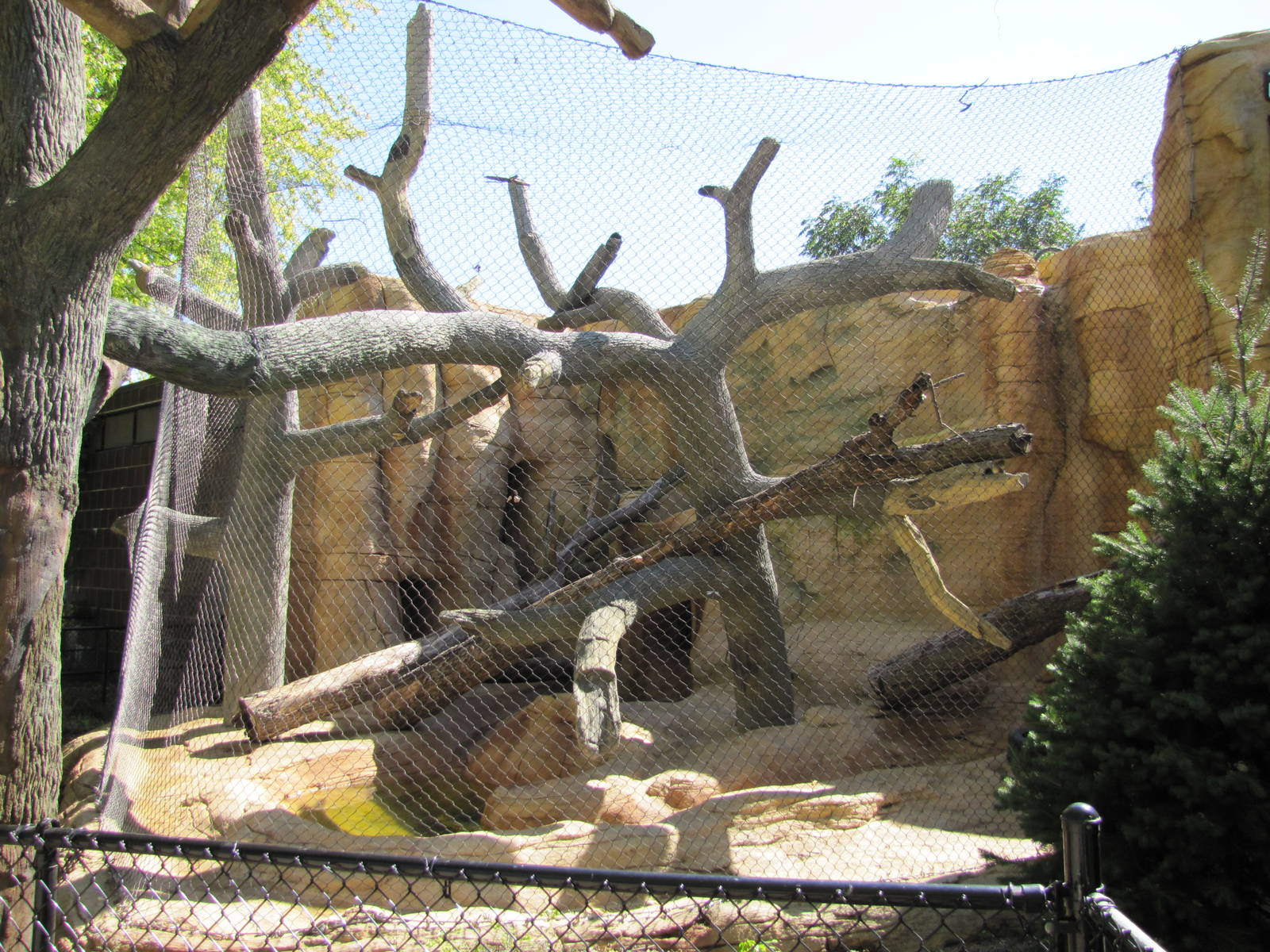 Henry Doorly Zoo 2010 - One type of outdoor exhibits at the Cat Complex