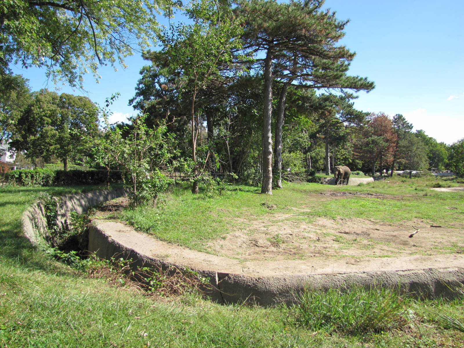 Henry Doorly Zoo 2010 - Part of African Elephant exhibit