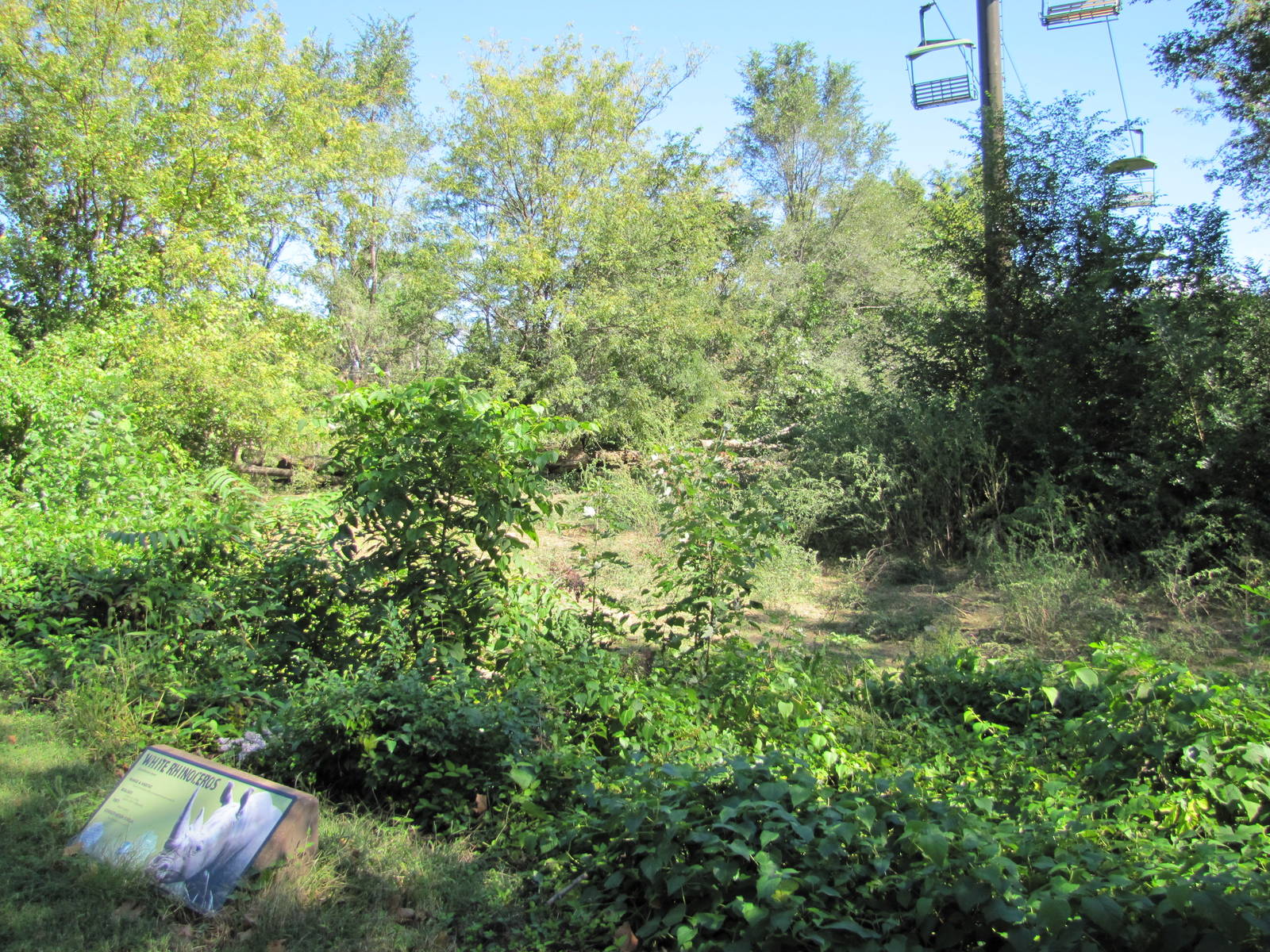 Henry Doorly Zoo 2010 - Part of densely vegetated White Rhinoceros exhibit